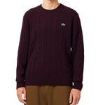 Carded wool cable-knit crew-neck sweater