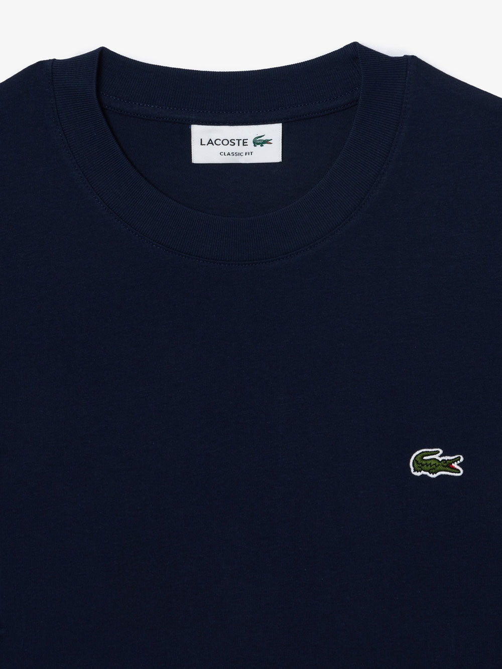 T-shirt in cotone 