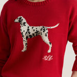 Sweater-Pullover 
